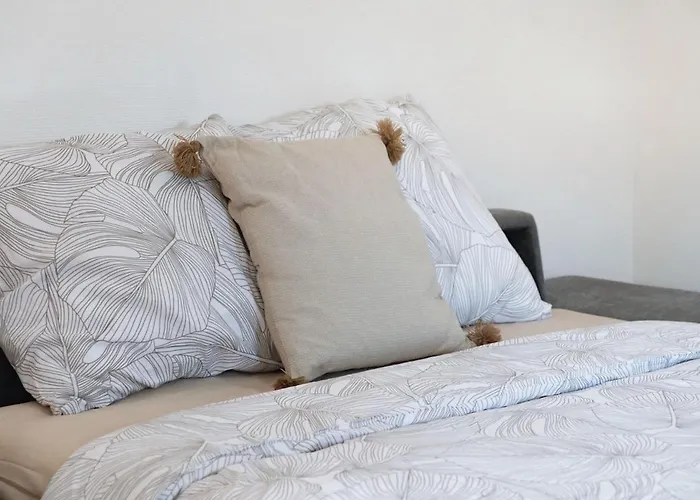 Cosy, Proche Universite,parking Gratuit Et Wifi Debit - Proche Centre דירה *